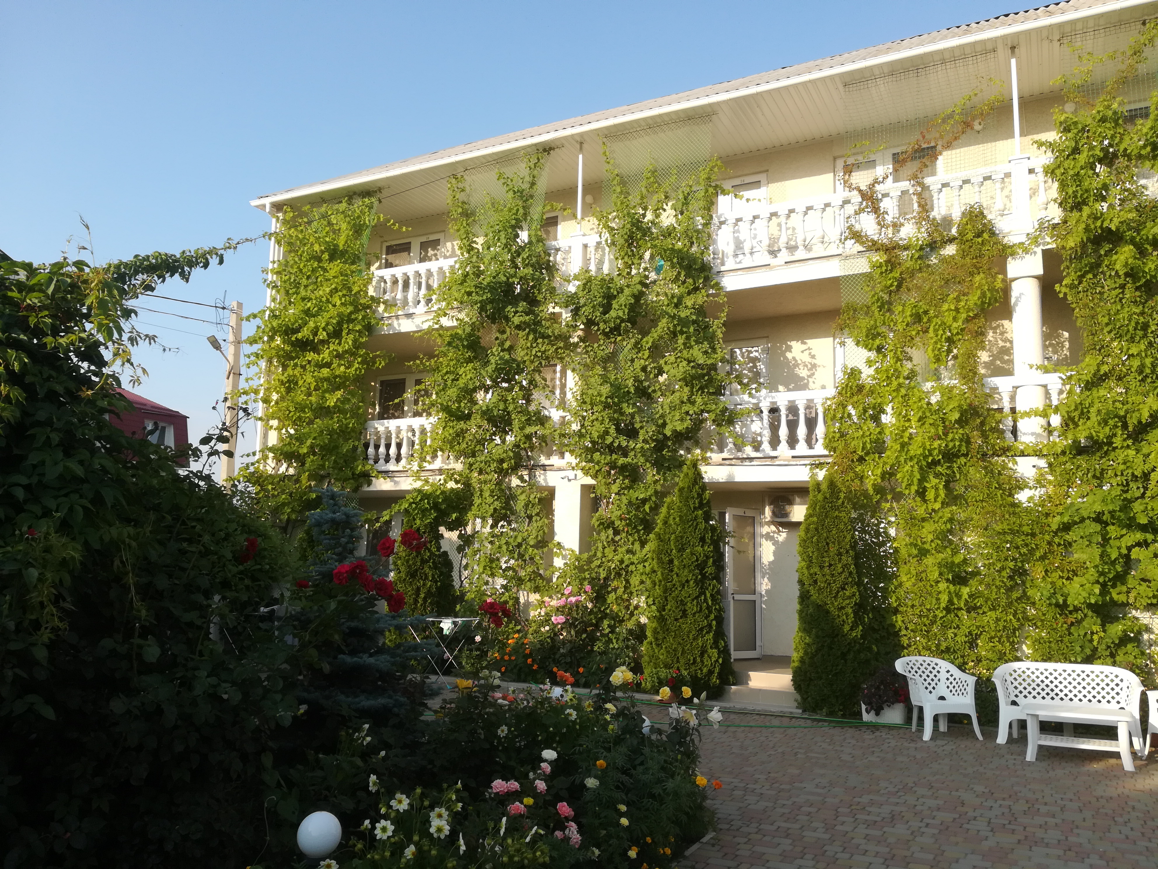 Фото Манака