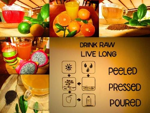 Фото Tamara Motels