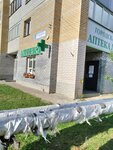 Aptechny punkt (Kominternovskiy microdistrict, ulitsa Pavla Korchagina, 78), pharmacy
