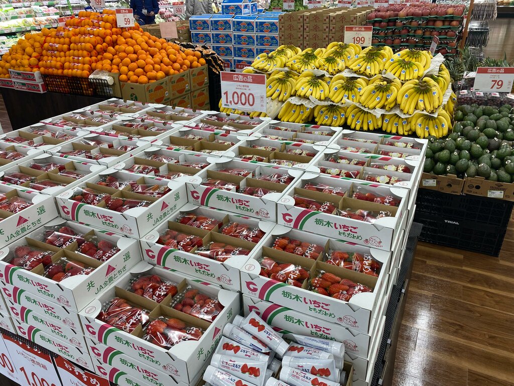 Home appliances wholesale スーパーセンタートライアルかすみがうら店, Ibaraki Prefecture, photo