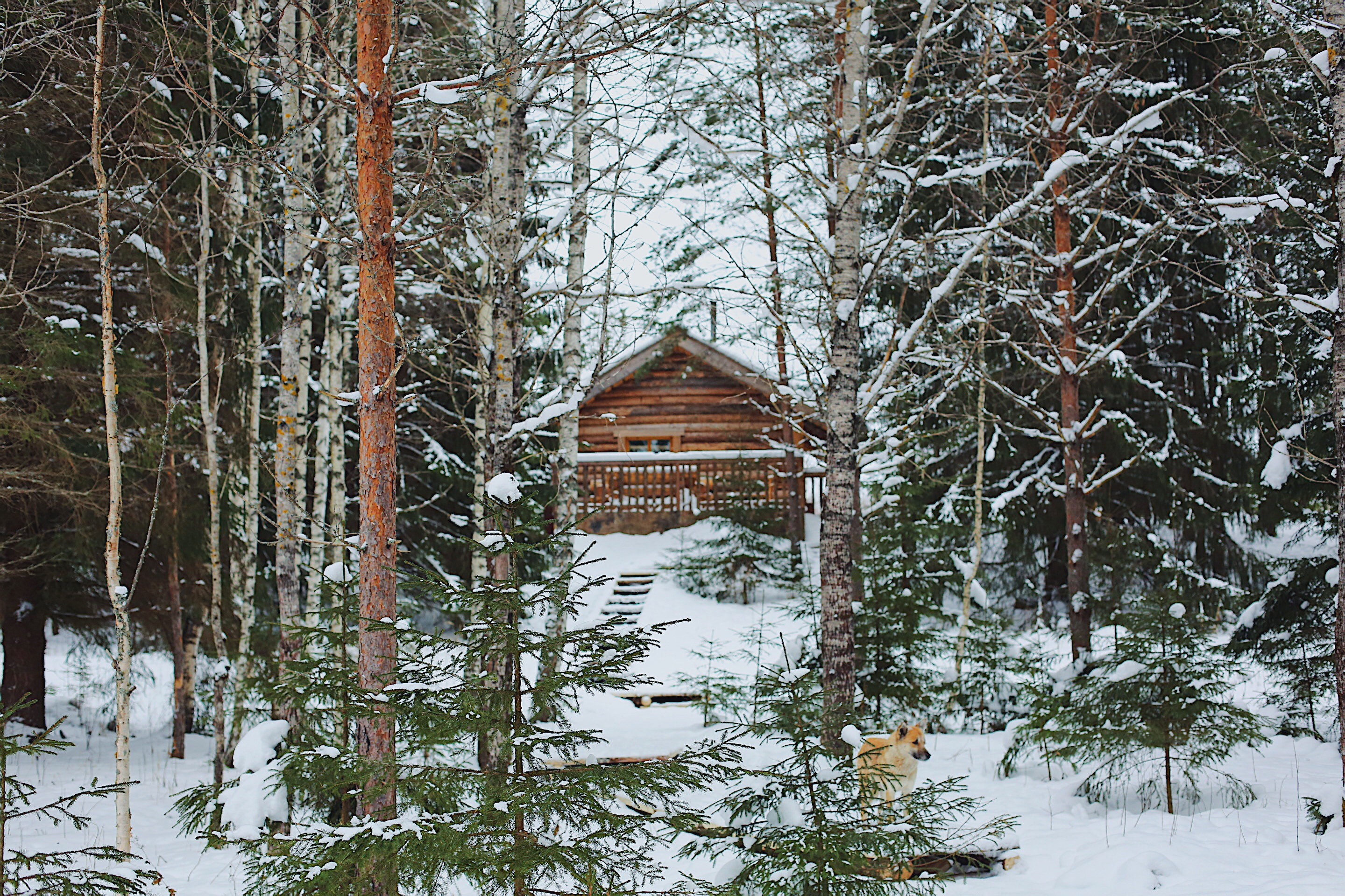 Фото Мазаная Горка