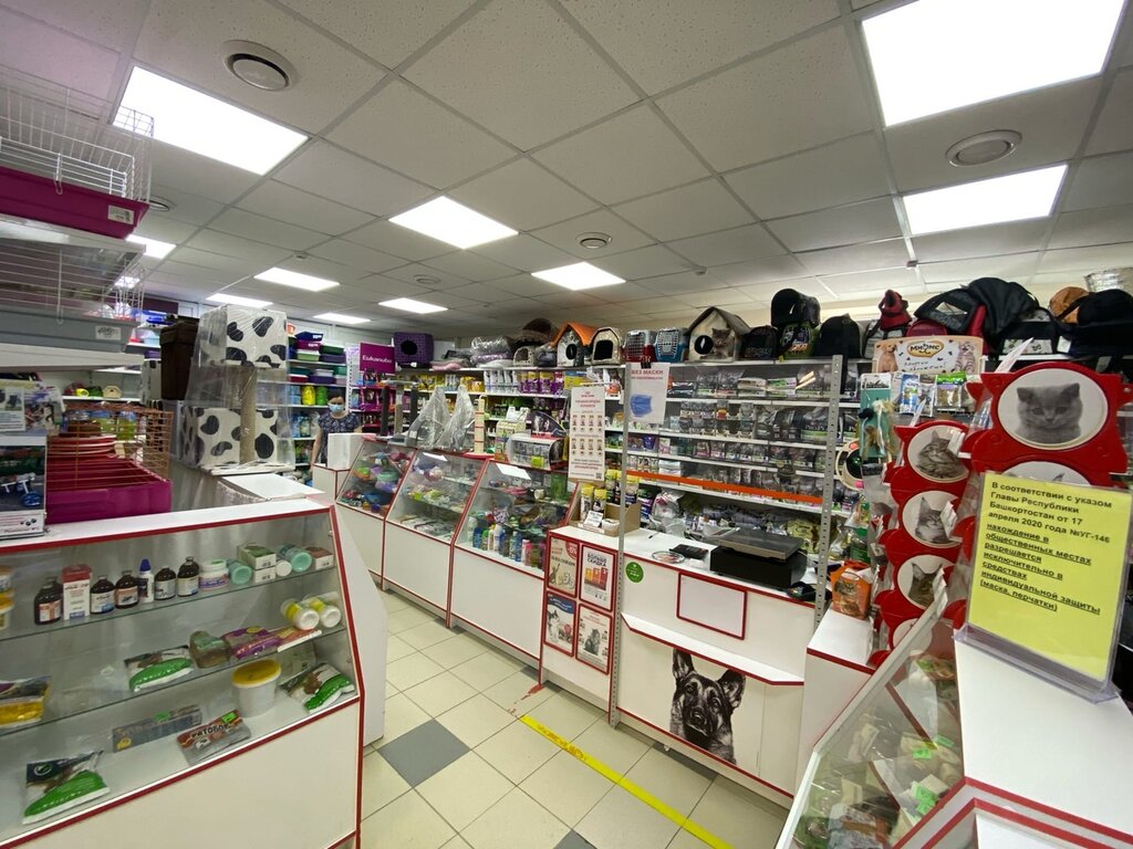 Pet shop Кошкин дом № 1, Blagoveschensk, photo