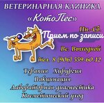KotoPes (mikrorayon Krasny Oktyabr, ulitsa Metlenkova, 15), clínica veterinaria
