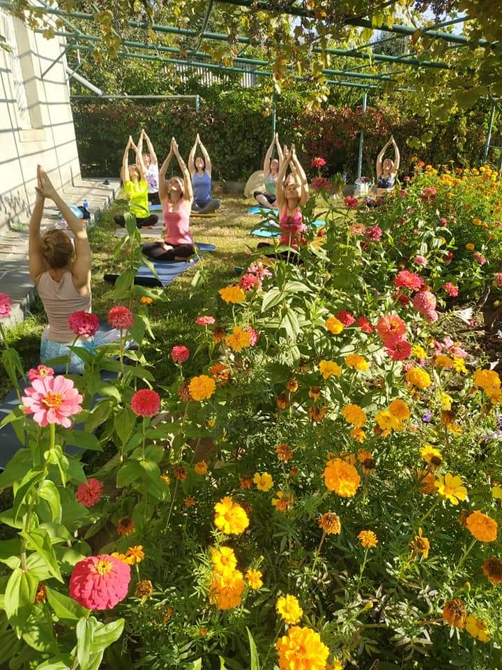 Фото Guest house Nataly