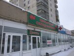 Цветочный склад-магазин (ул. Радионова, 60, Курган), магазин цветов в Кургане