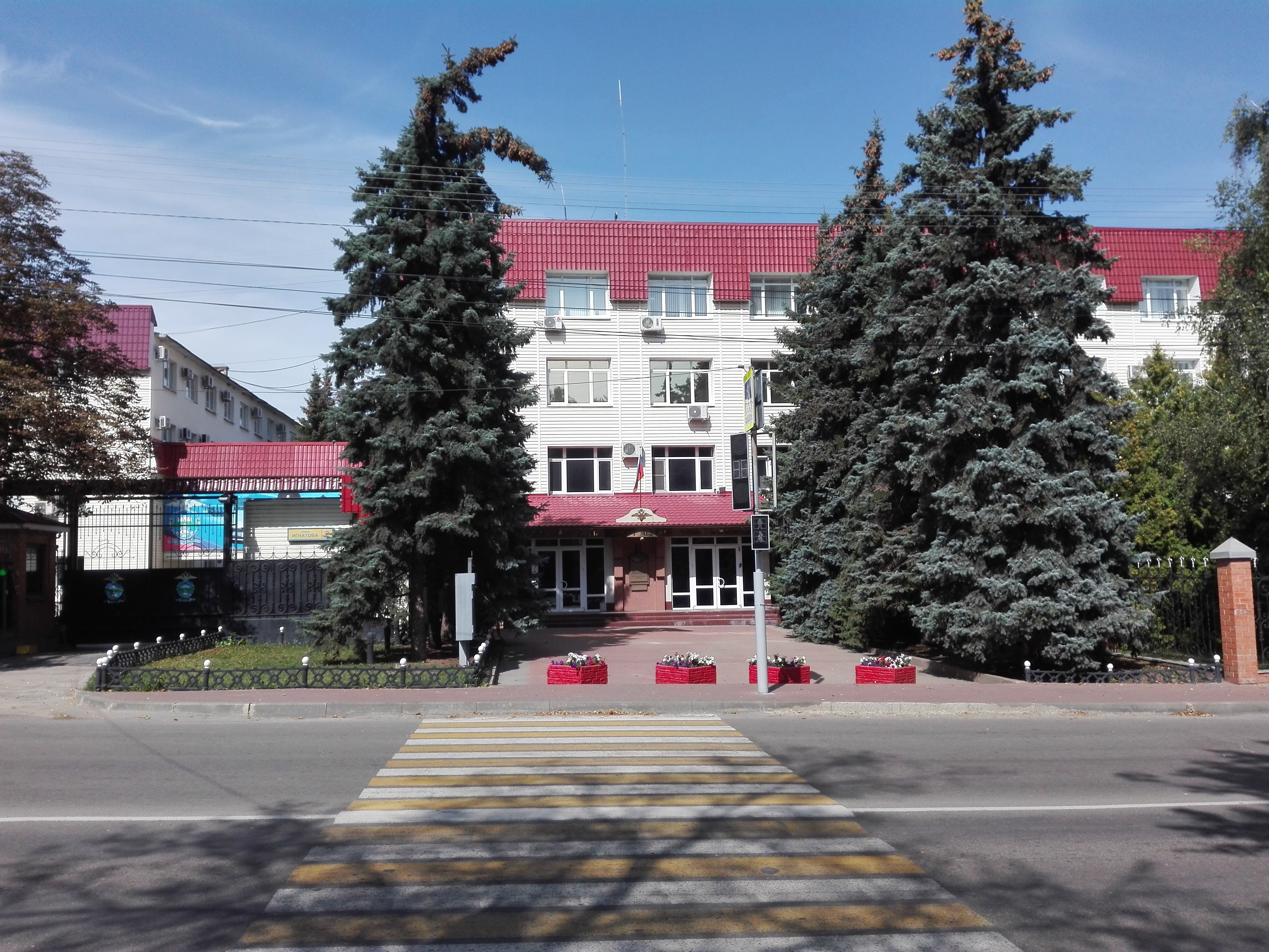 Porno Roman Trachtemberg