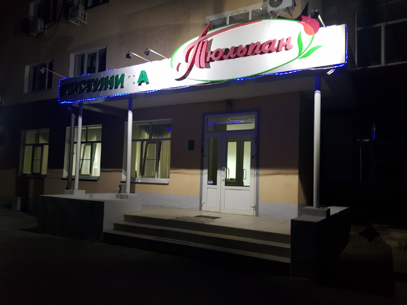 Фото Тюльпан