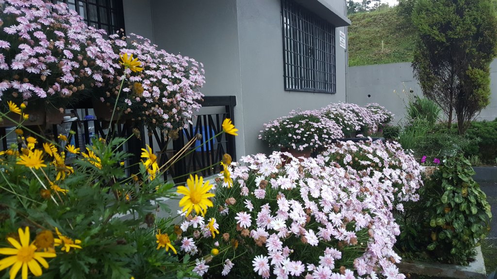 Фото Kpw at Royal Lily Apartment