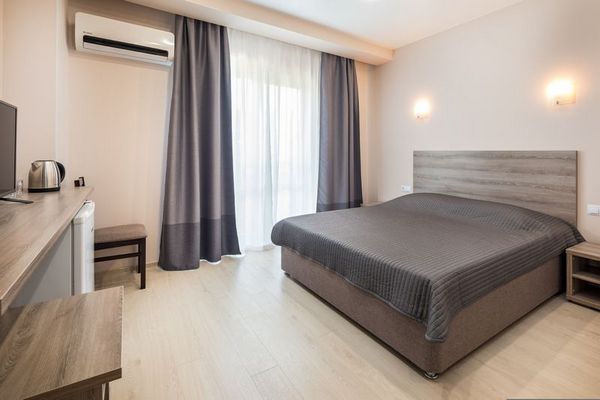 Фото Абрикос Плюс