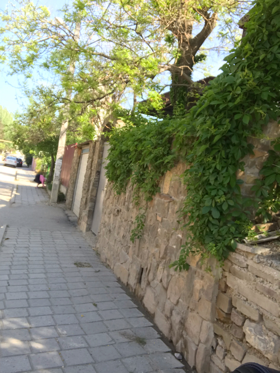 Фото Николь