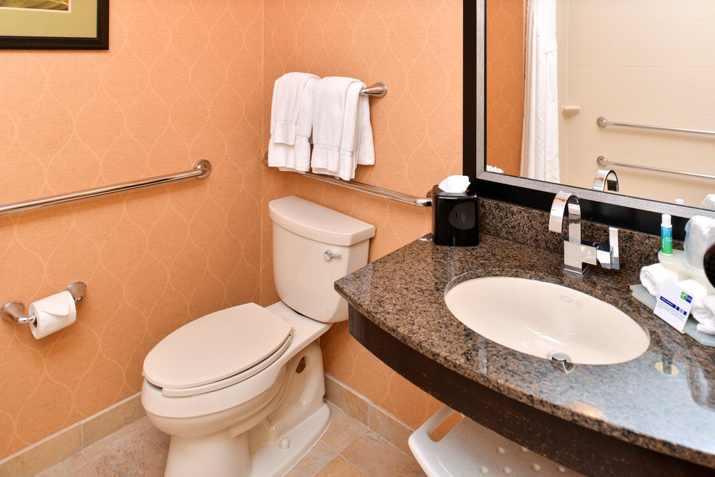 Фото Holiday Inn Express Hotel & Suites Dallas South - Desoto, an Ihg Hotel