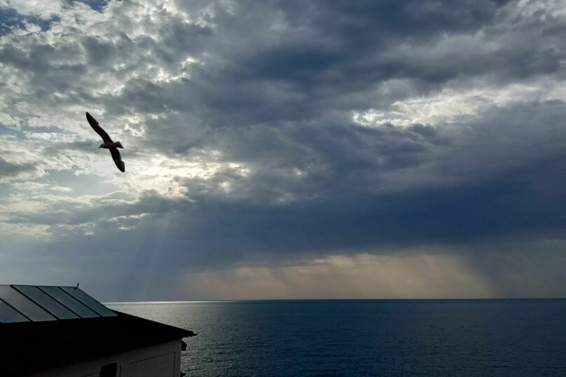 Фото Фрегат