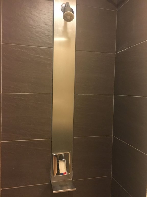 Фото Pinetree Hotel