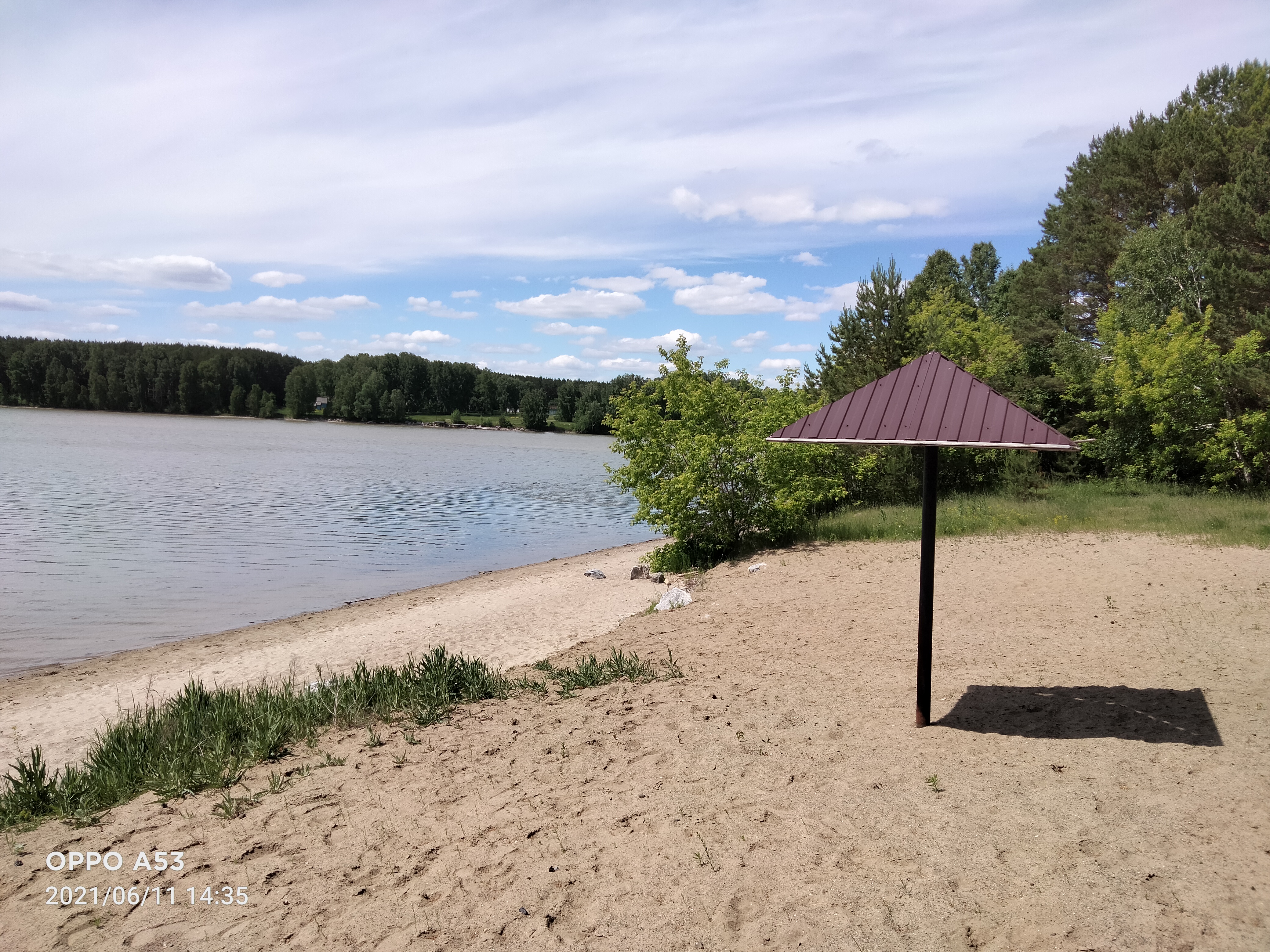 Фото Зелёная поляна