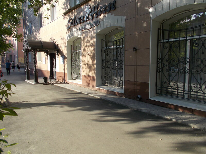 Серебряная лошадь — фото 15