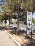 Toshshahartrans o'quv ishlab chiqarish markazi (Toshkent, Mirobod tumani, Banokatiy mahalla fuqarolar yigʻini),  Toshkentda avto-maktab