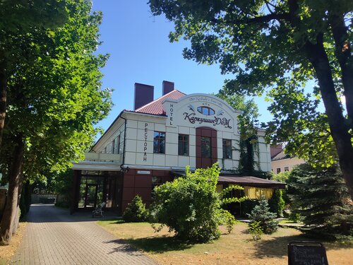 Гостиница Каркушин Дом в Псковской области