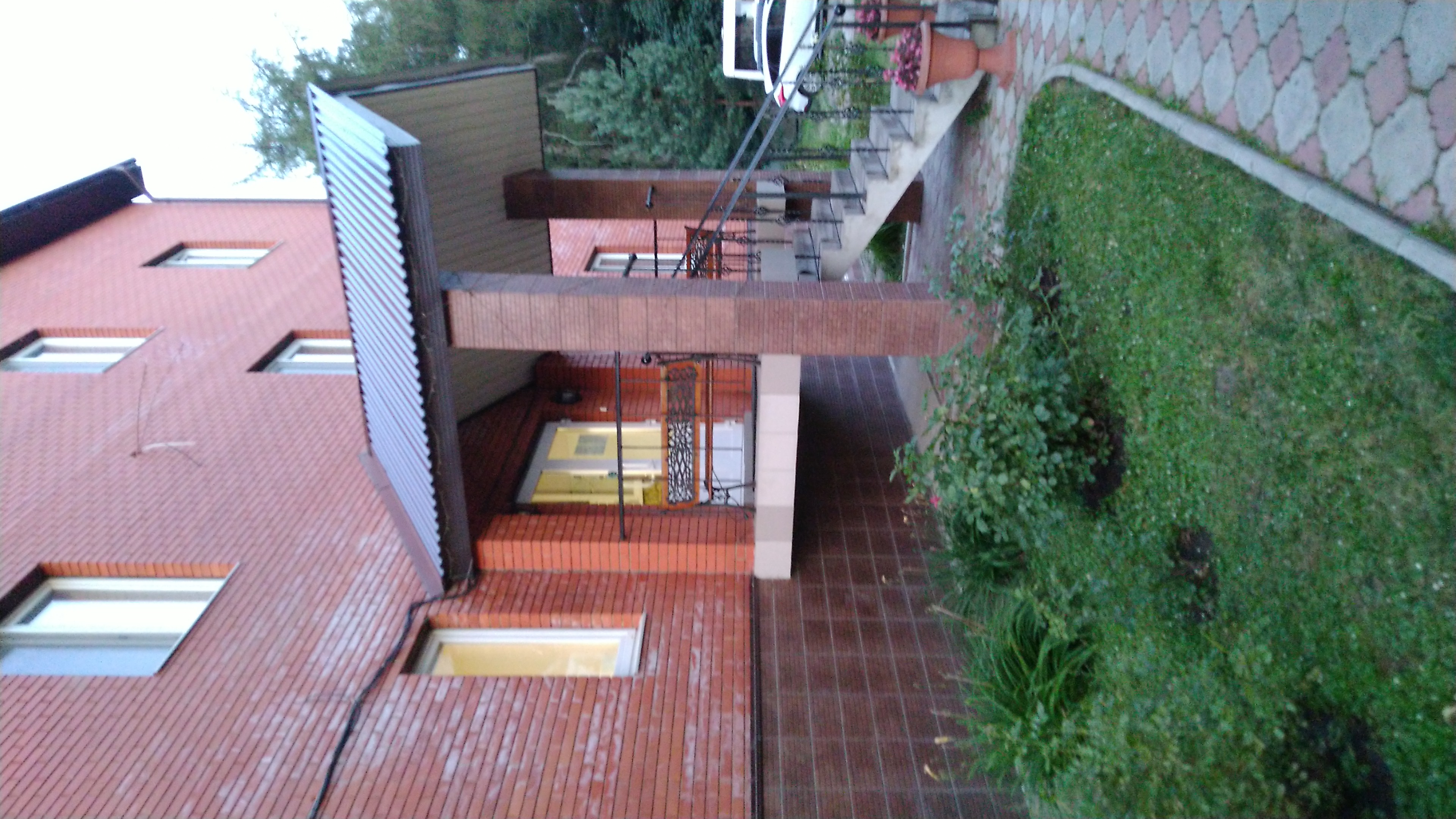 Фото Грин Стар