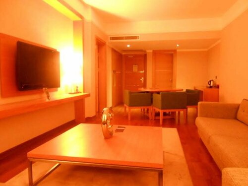 Гостиница Anemon Ordu Hotel в Алтынорду