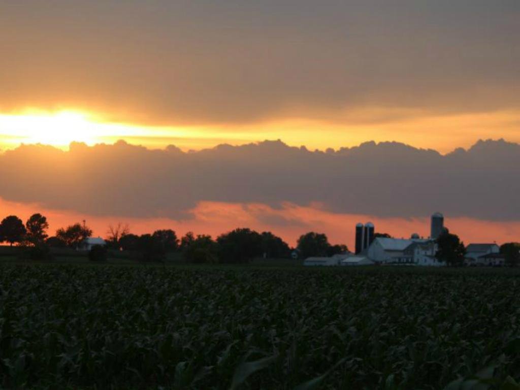 Фото Harvest Drive Family Inn