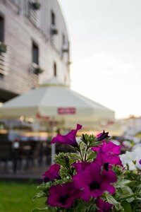 Гостиница Hotel Willowa в Люблине