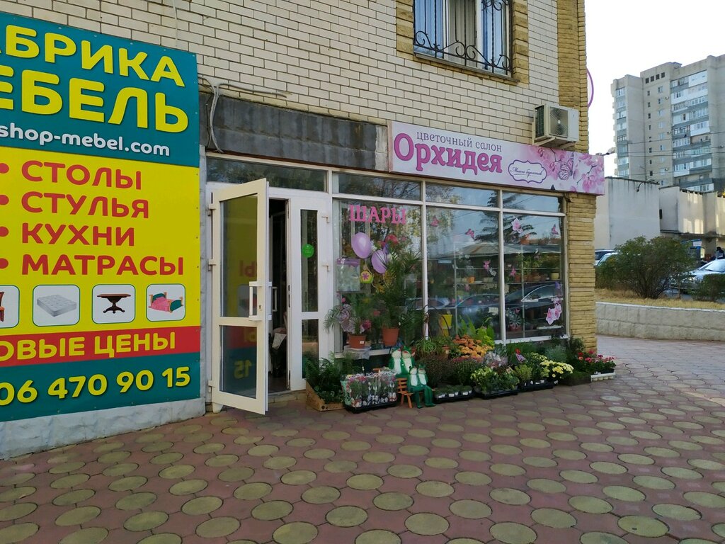 Орхидея, магазин подарков и сувениров, Московское ш., 205, Самара - Яндекс Карты