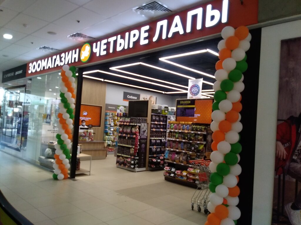 Четыре лапы ул карла маркса 6 фото