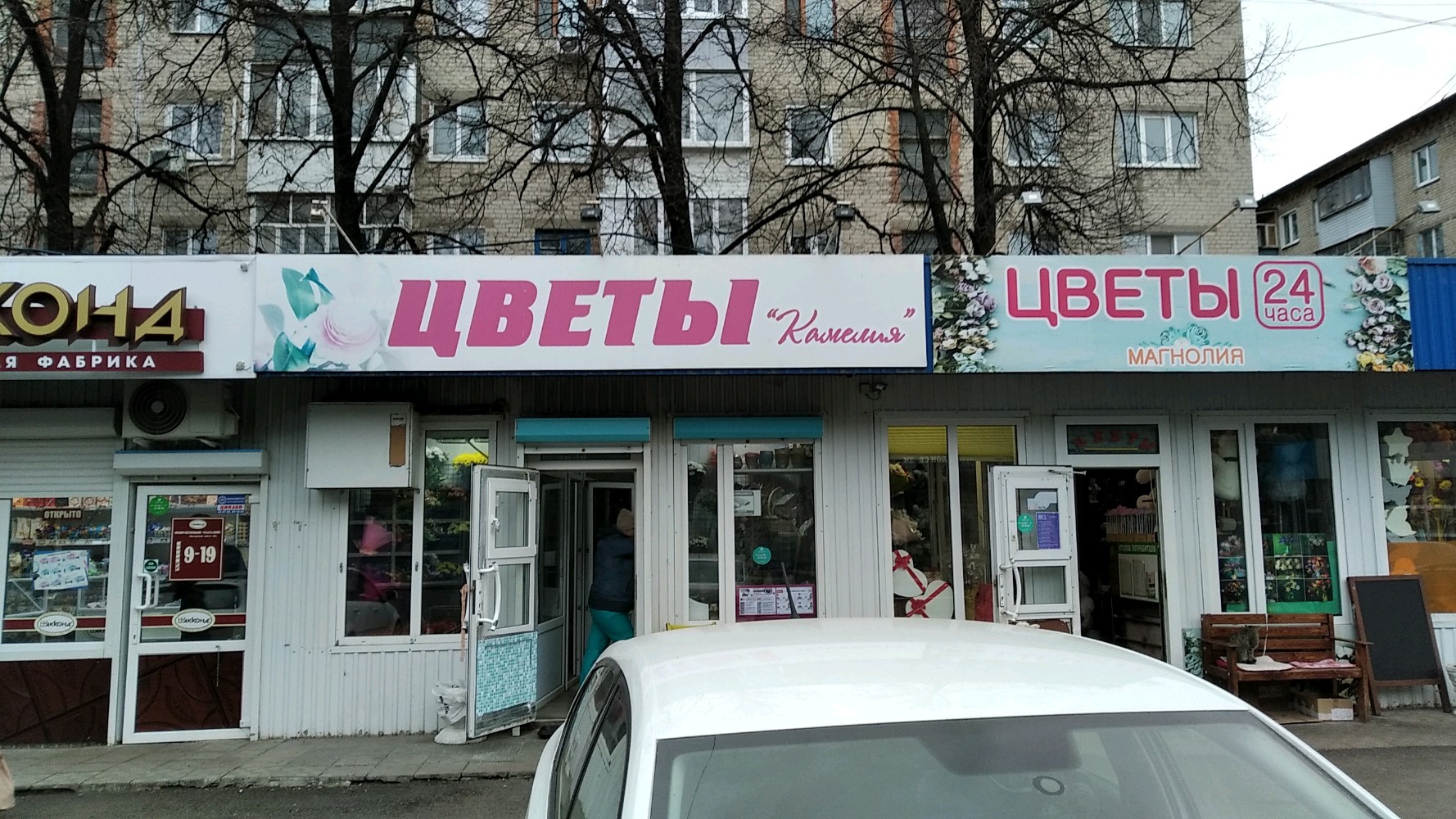 Камелия пр максимова 26б ульяновск фото Панорама: Камелия, магазин цветов, просп. 50-летия ВЛКСМ, 2Б, Ульяновск - Яндекс