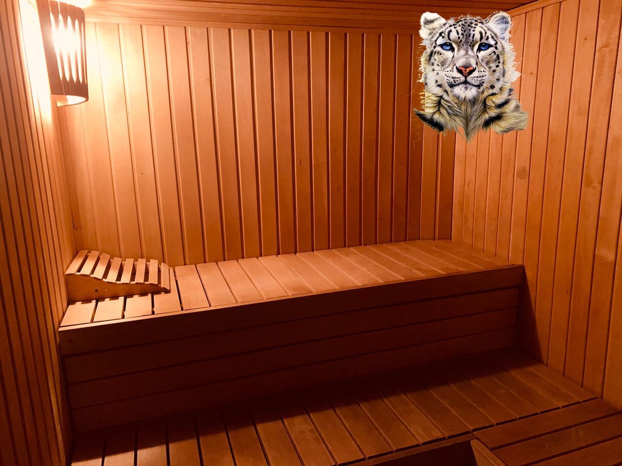 Фото Гостевой дом Ирбис