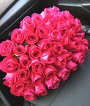 Flowers (Yubileynaya ulitsa, 46), flower shop