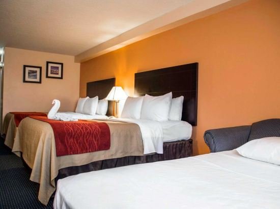 Фото Comfort Inn International Dr