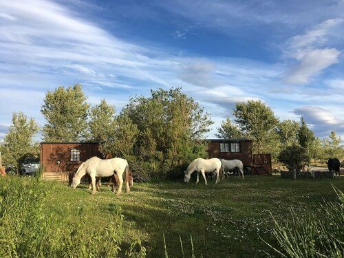 Гостиница Hotel Estancia Tercera Barranca