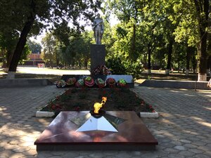 Вечный огонь (Krasnodar Territory, Dinskoy Municipal District, Vasyurinskoye selskoye poseleniye, stanitsa Vasyurinskaya, ulitsa Lenina), monument, memorial