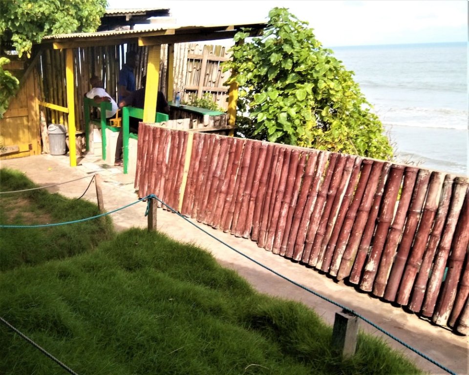 Фото Rising Phoenix