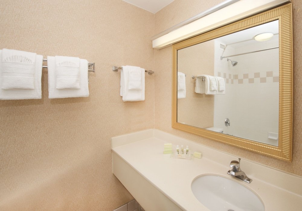 Фото Holiday Inn & Suites Chicago - Downtown