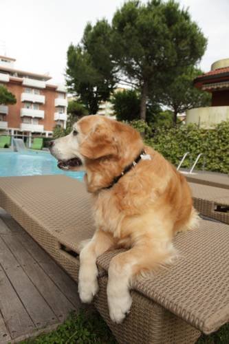 Фото Hotel Martini