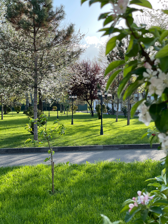 Фото Турист