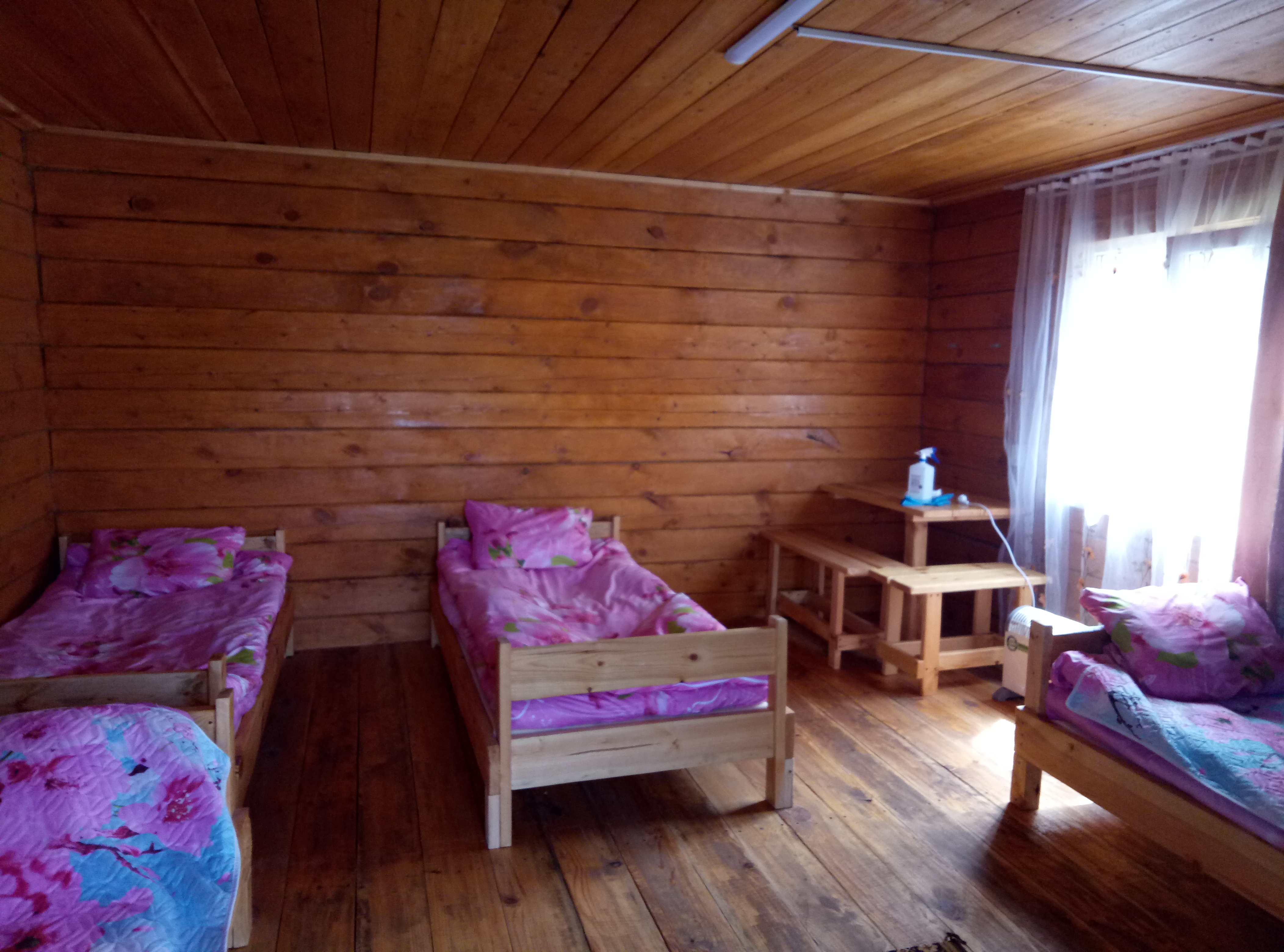 Фото В горах Алтая