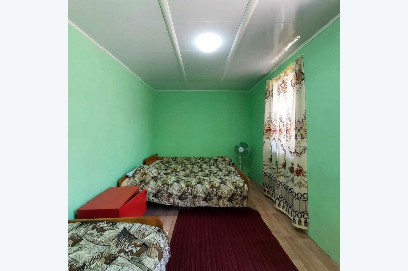 Фото Золотая Рыбка