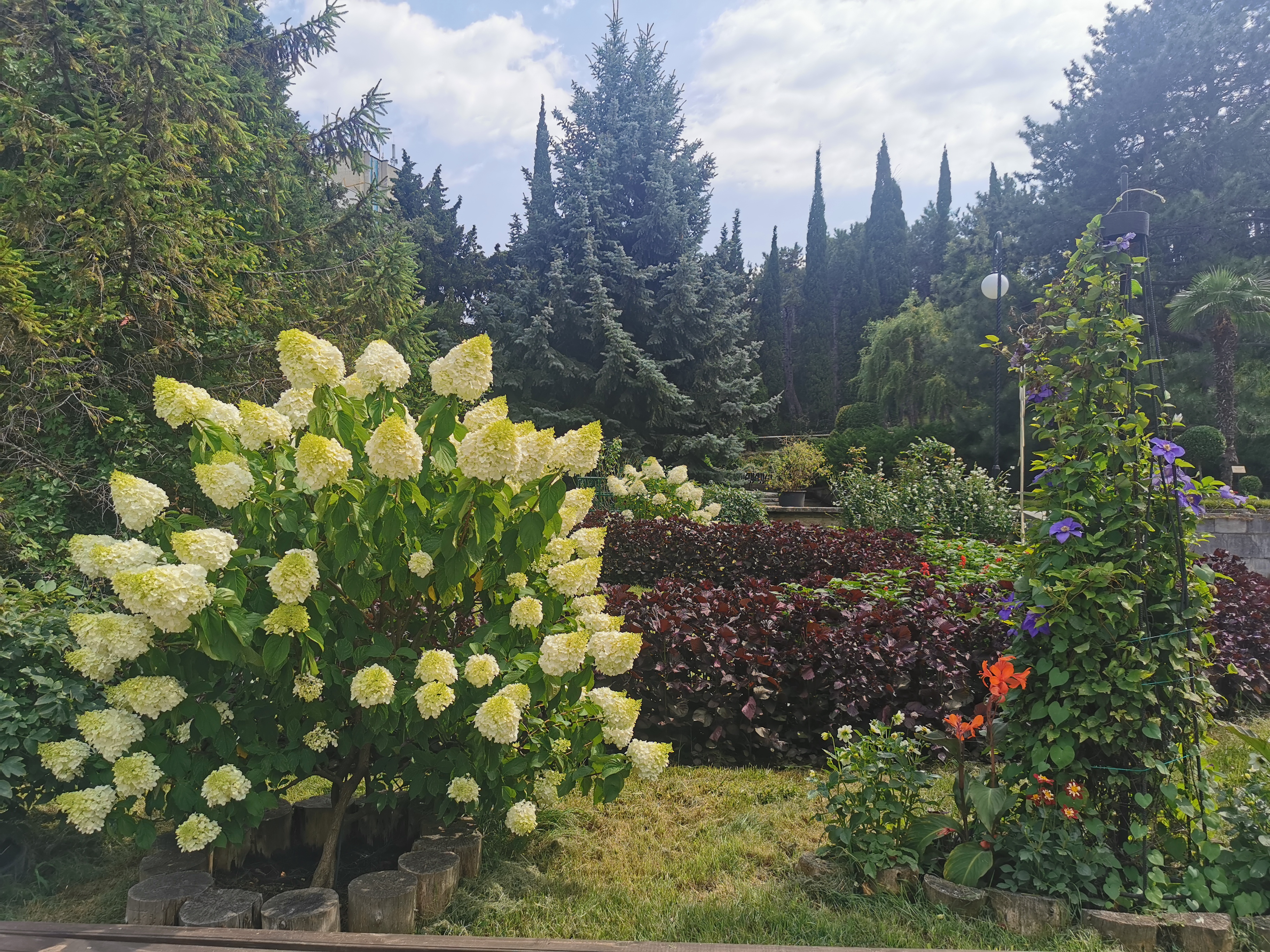 Фото Санаторий Узбекистан