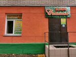 Ромашка (Tikhvinskaya ulitsa, 12) ، مقهى