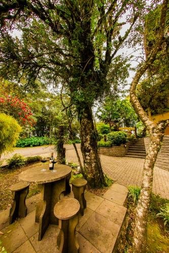 Фото Pousada das Papoulas