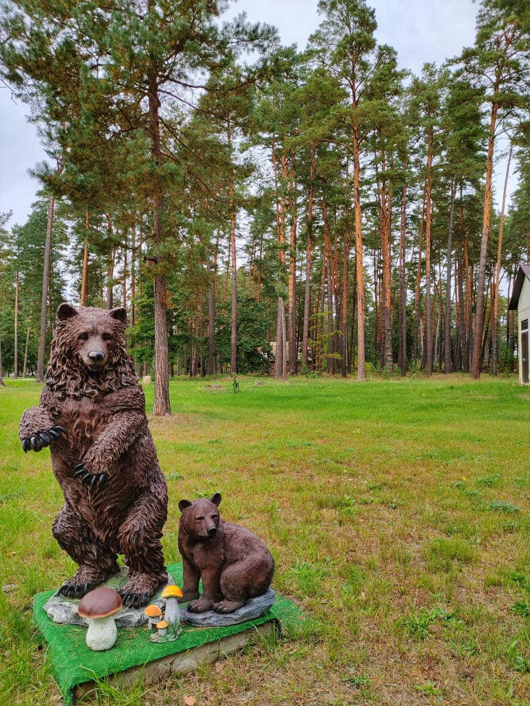 Фото Славянка