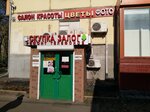 Салон красоты (Volgogradsky Avenue, 119/22), beauty salon