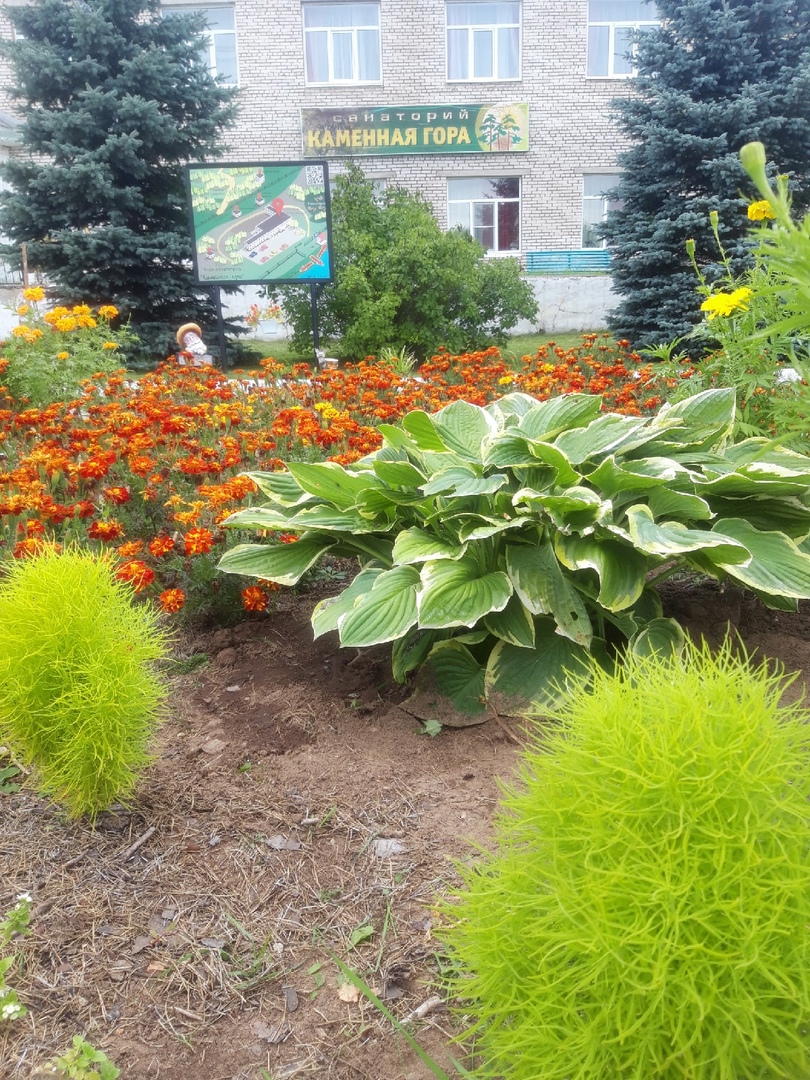 Фото Каменная гора