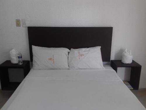 Фото Hotel Playa de Oro