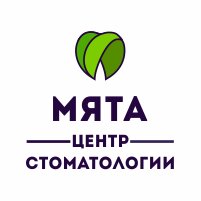 Мята стоматология