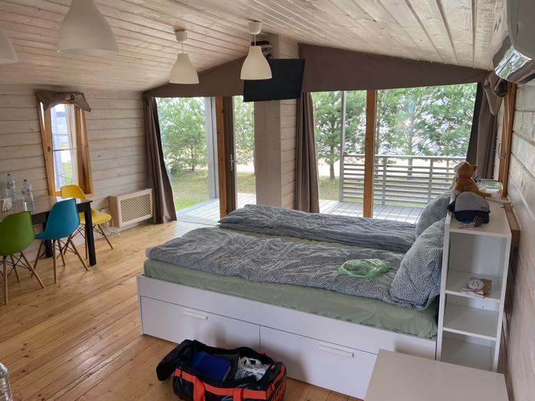 Фото Веточка