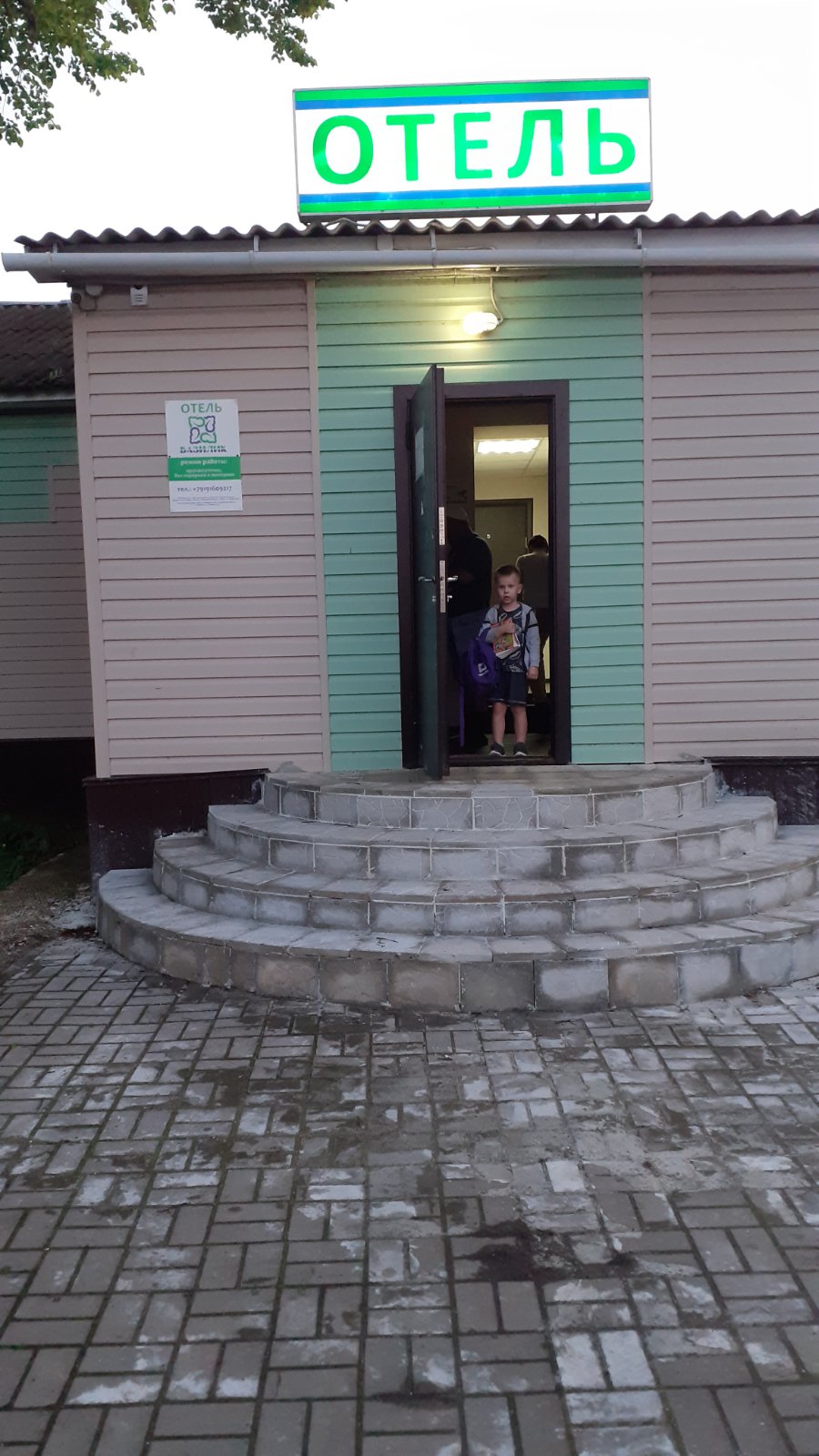 Фото Базилик