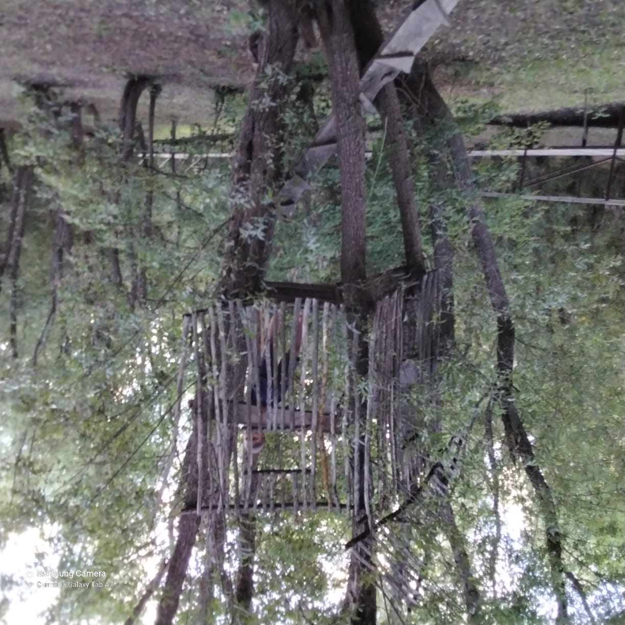 Фото Белые ключи